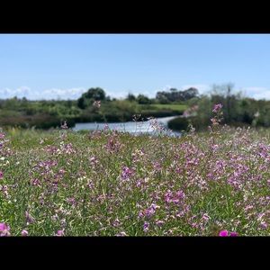 Meet your Posher, Stefanie